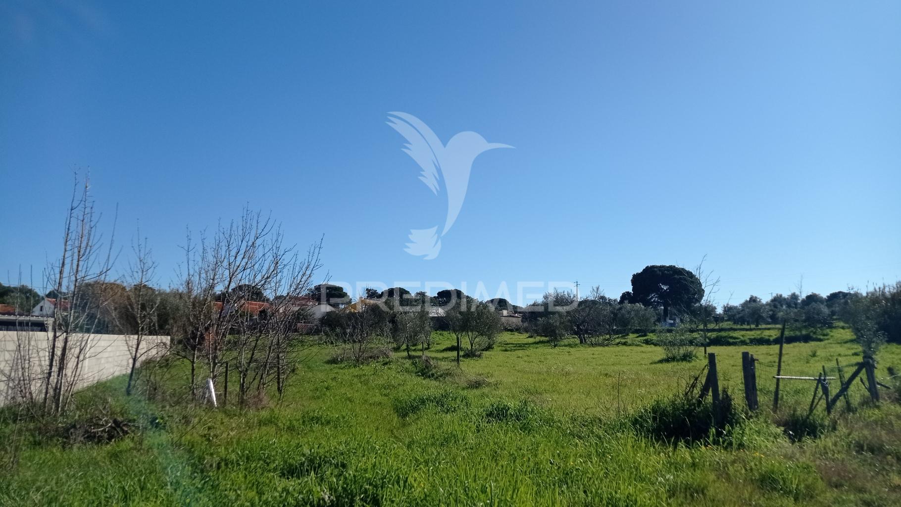 Lote p/ construção 4500 m2, couço