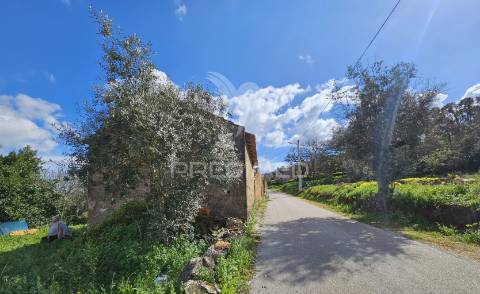 Casa para restaurar com terreno