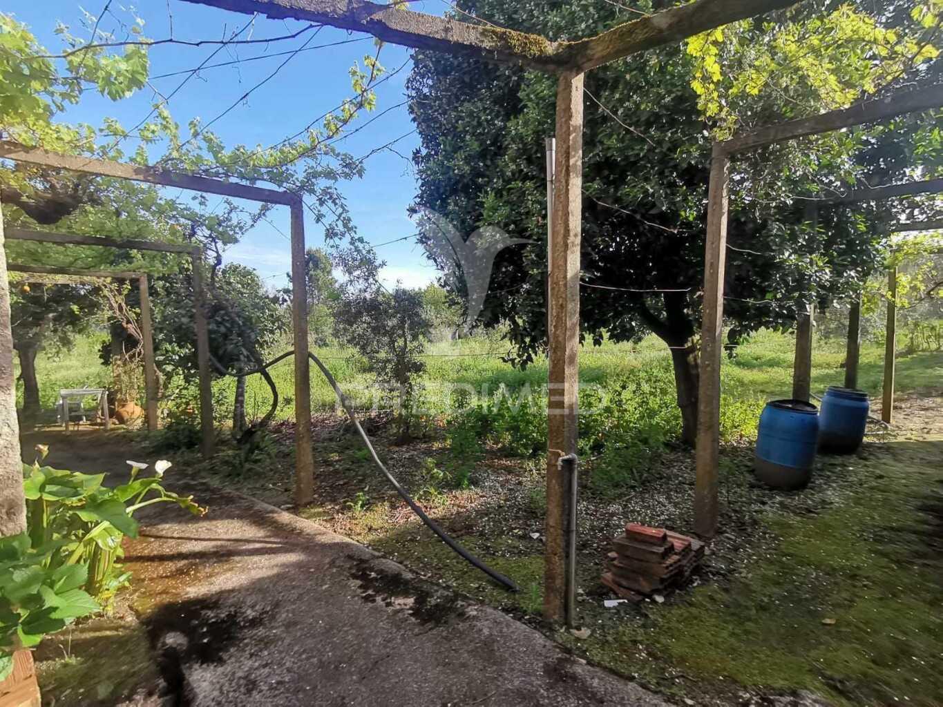 Casa campo t3