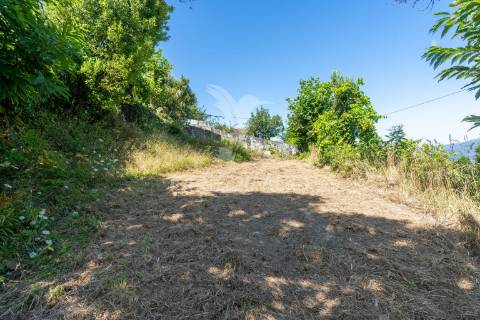 Moradia t3 com terreno + bouça (junto à barragem)