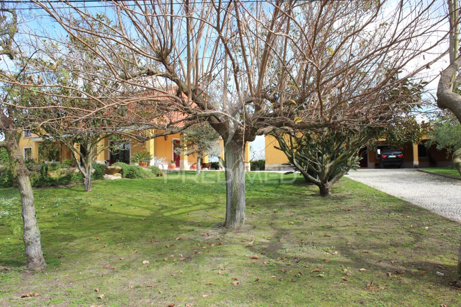 Quinta t9 com 7.000m2 em pontével, cartaxo.