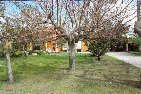 Quinta t9 com 7.000m2 em pontével, cartaxo.