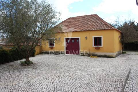 Quinta t9 com 7.000m2 em pontével, cartaxo.