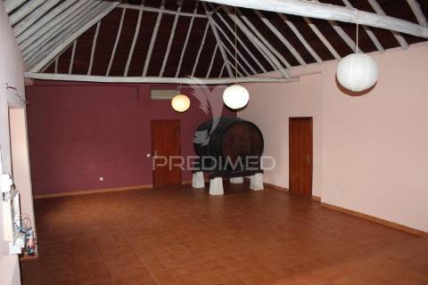 Quinta t9 com 7.000m2 em pontével, cartaxo.