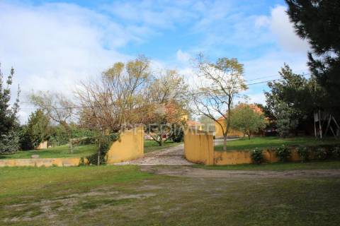 Quinta t9 com 7.000m2 em pontével, cartaxo.