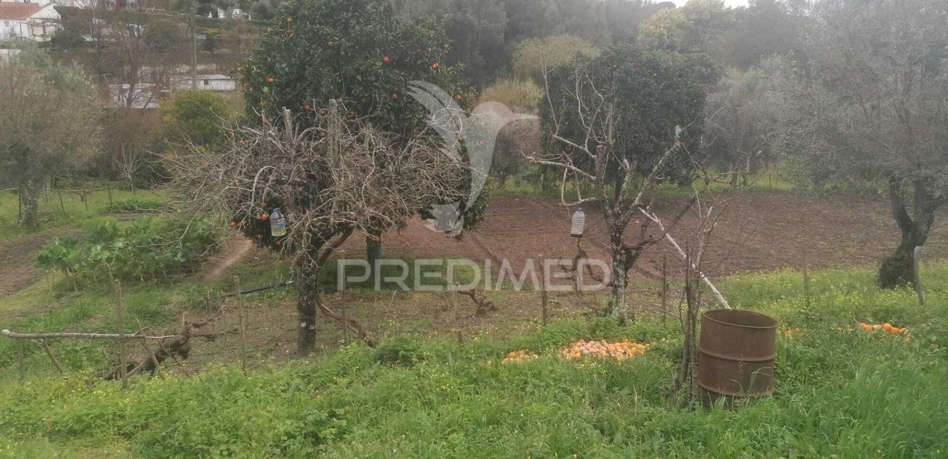 Quinta rural