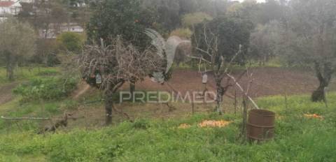 Quinta rural