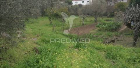 Quinta rural