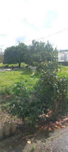 Vende se quintinha com moradia bi-familiar nas pontes em setúbal setúbal > gâmbia-pontes-alto guerra valor de 372 000,00 €