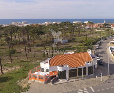 Restaurante pronto a explorar em sines
