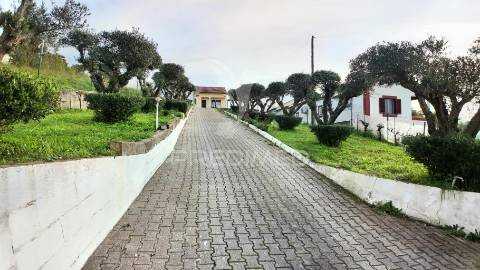 Moradia t3 com piscina em são vicente do paul / santarém