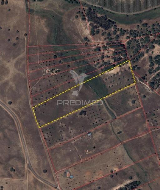 Terreno com mais de 5 hectares para venda em ferreira do alentejo