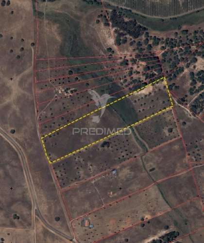 Terreno com mais de 5 hectares para venda em ferreira do alentejo
