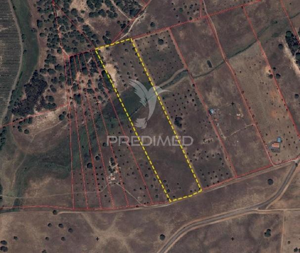 Terreno com mais de 5 hectares para venda em ferreira do alentejo