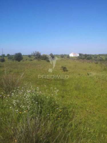 Terreno com mais de 5 hectares para venda em ferreira do alentejo