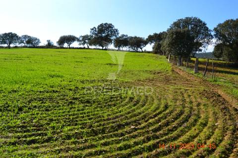 Quinta no alentejo