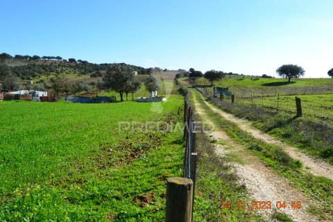 Quinta no alentejo