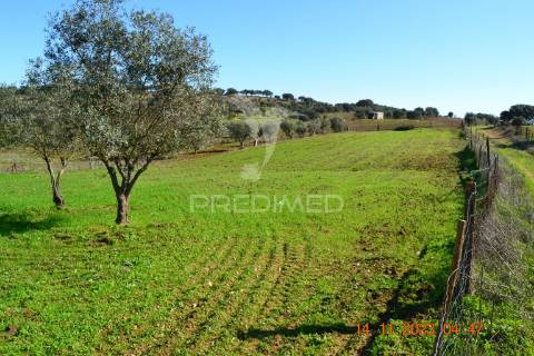 Quinta no alentejo