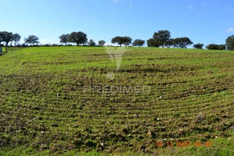 Quinta no alentejo