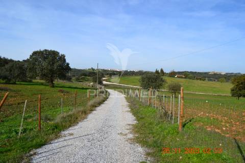 Quinta no alentejo