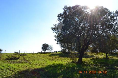 Quinta no alentejo