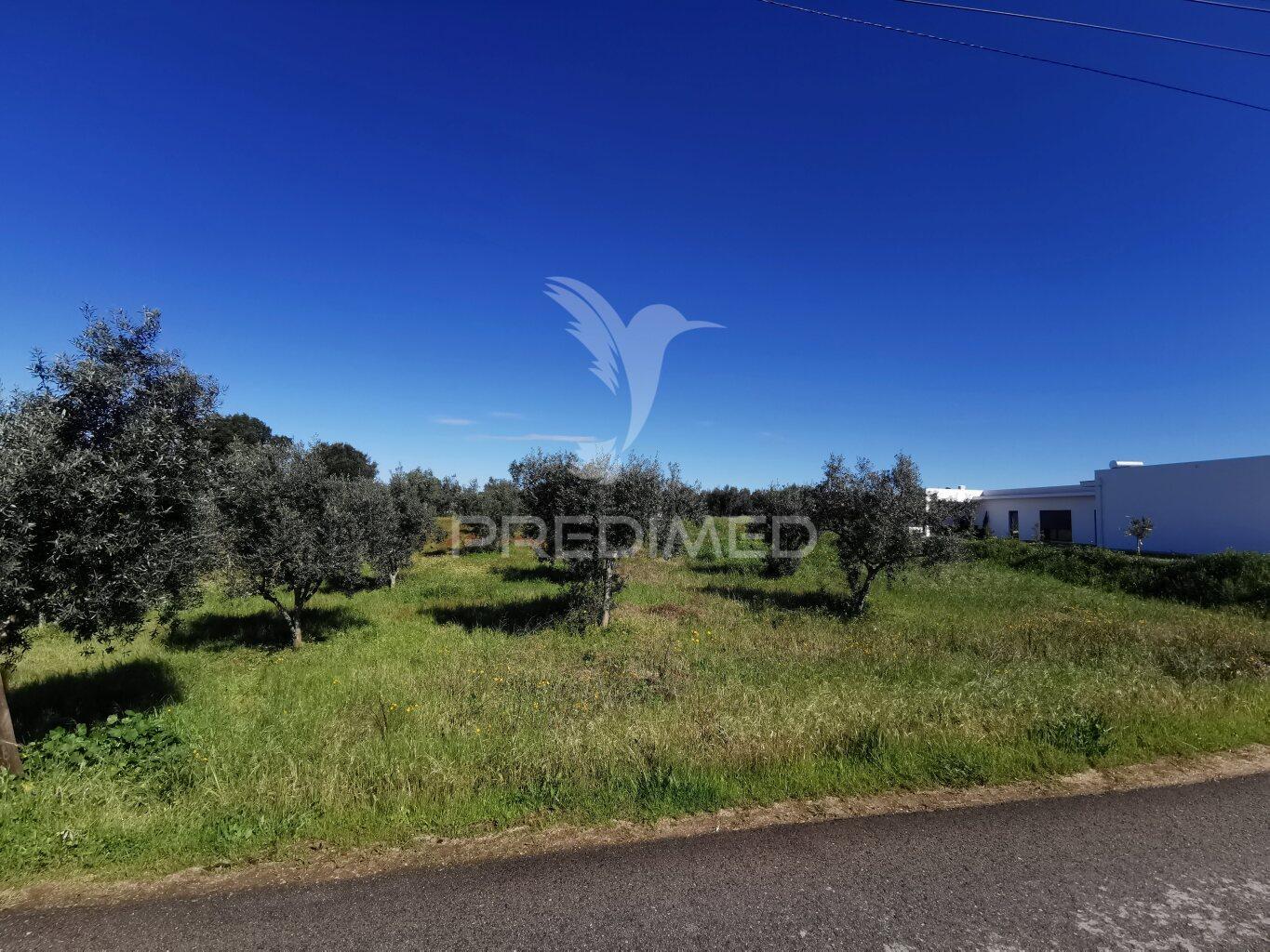 Lote de moradia