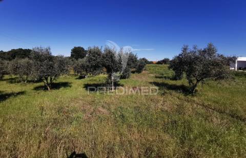 Lote de moradia