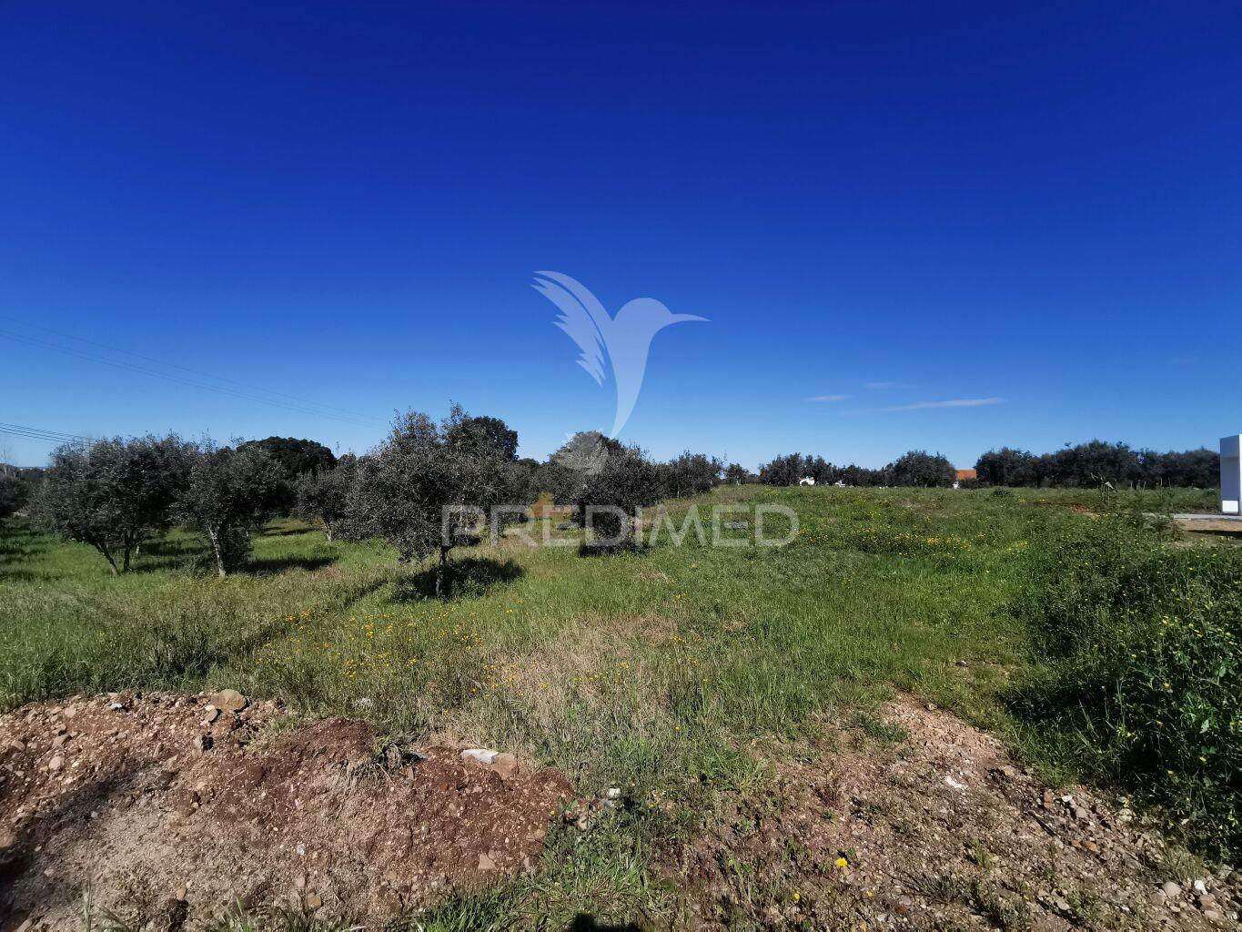 Lote de moradia