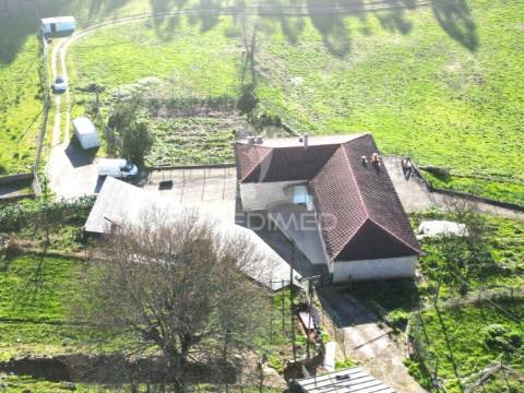 Quinta com 11 hectares, em guimarães