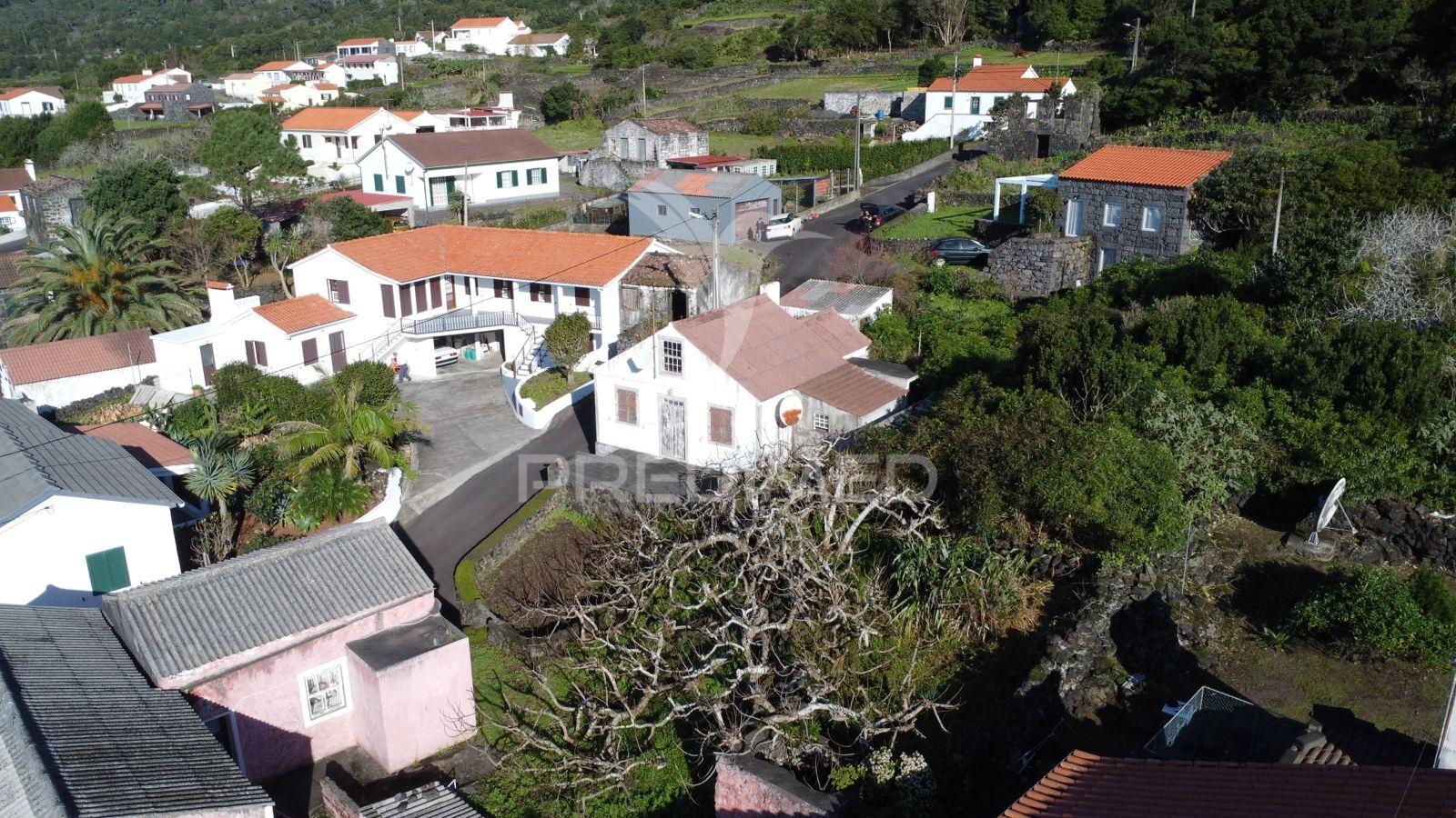 Moradia, terra do pão, ilha do pico