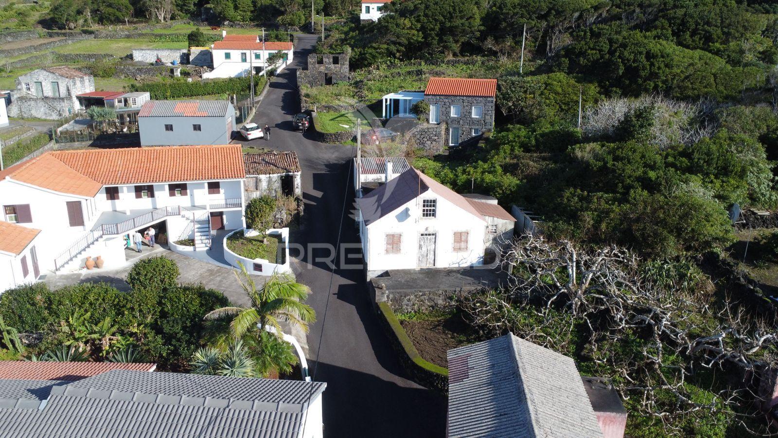 Moradia, terra do pão, ilha do pico