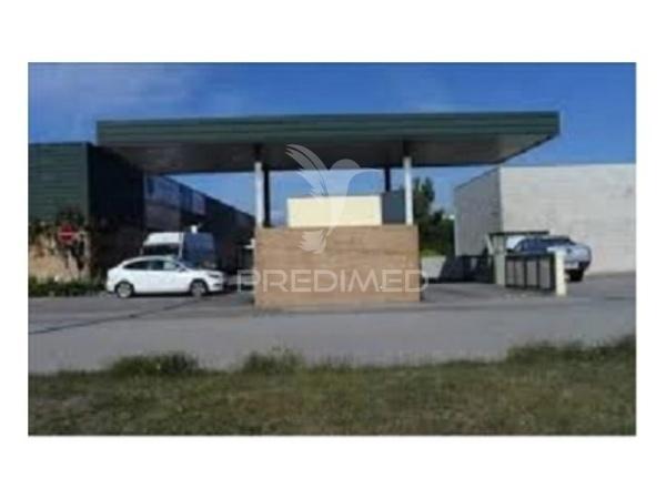 Loja para comércio grossista em albergaria-a-velha