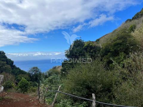 Terreno e lagar com uma furna na fajã da ovelha