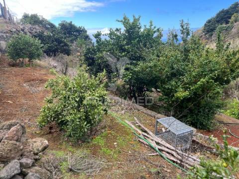 Terreno e lagar com uma furna na fajã da ovelha