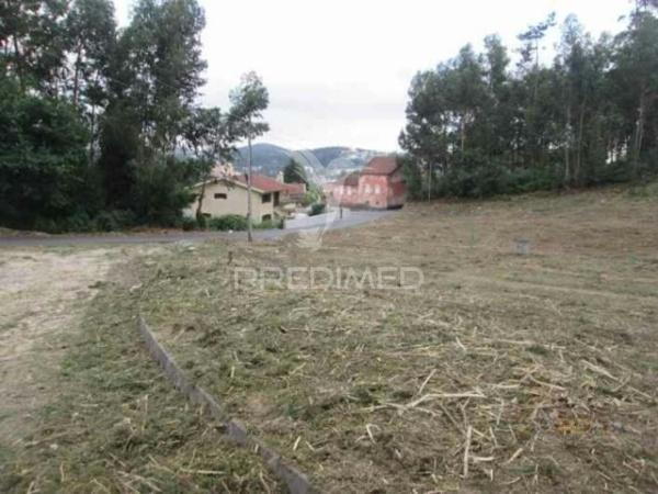 Terreno, cesar, oliveira de azeméis