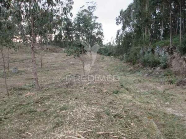 Terreno, cesar, oliveira de azeméis
