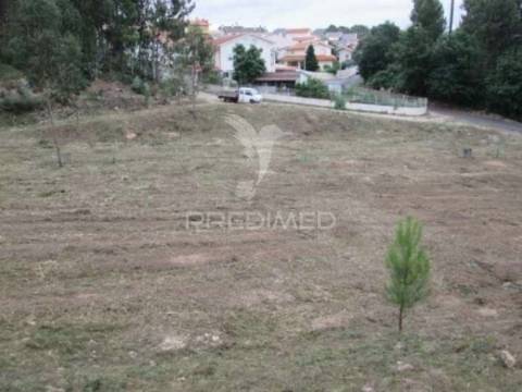 Terreno, cesar, oliveira de azeméis
