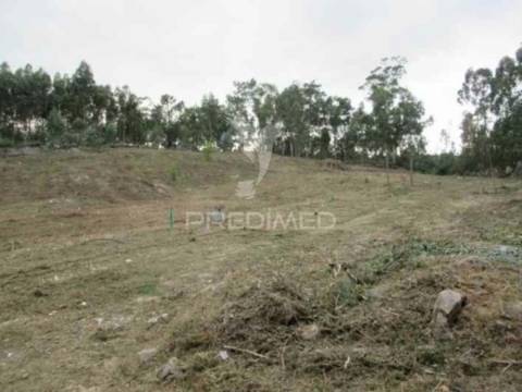 Terreno, cesar, oliveira de azeméis