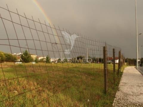 Terreno urbano para construção em são joão de ovar, arada e são vicente de pereira jusã, ovar, aveiro