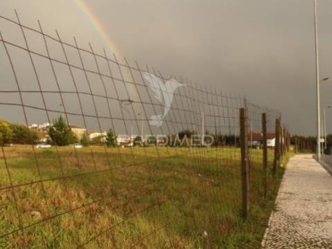Terreno urbano para construção em são joão de ovar, arada e são vicente de pereira jusã, ovar, aveiro