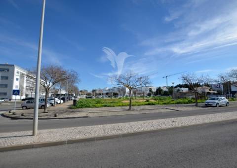 Terreno para construção de 23 fogos + 1 loja