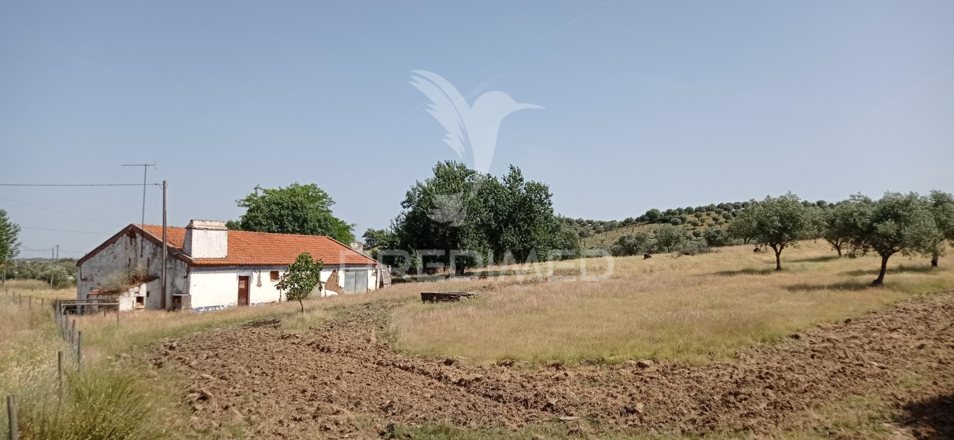 Monte alentejano 2.3 ha pavia, mora