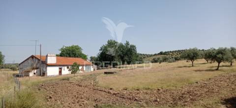 Monte alentejano 2.3 ha pavia, mora