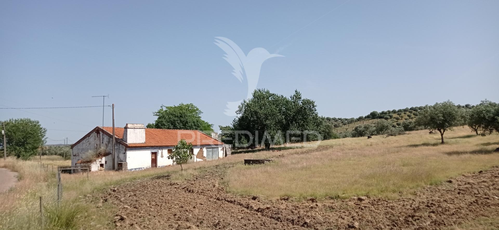 Monte alentejano 2.3 ha pavia, mora