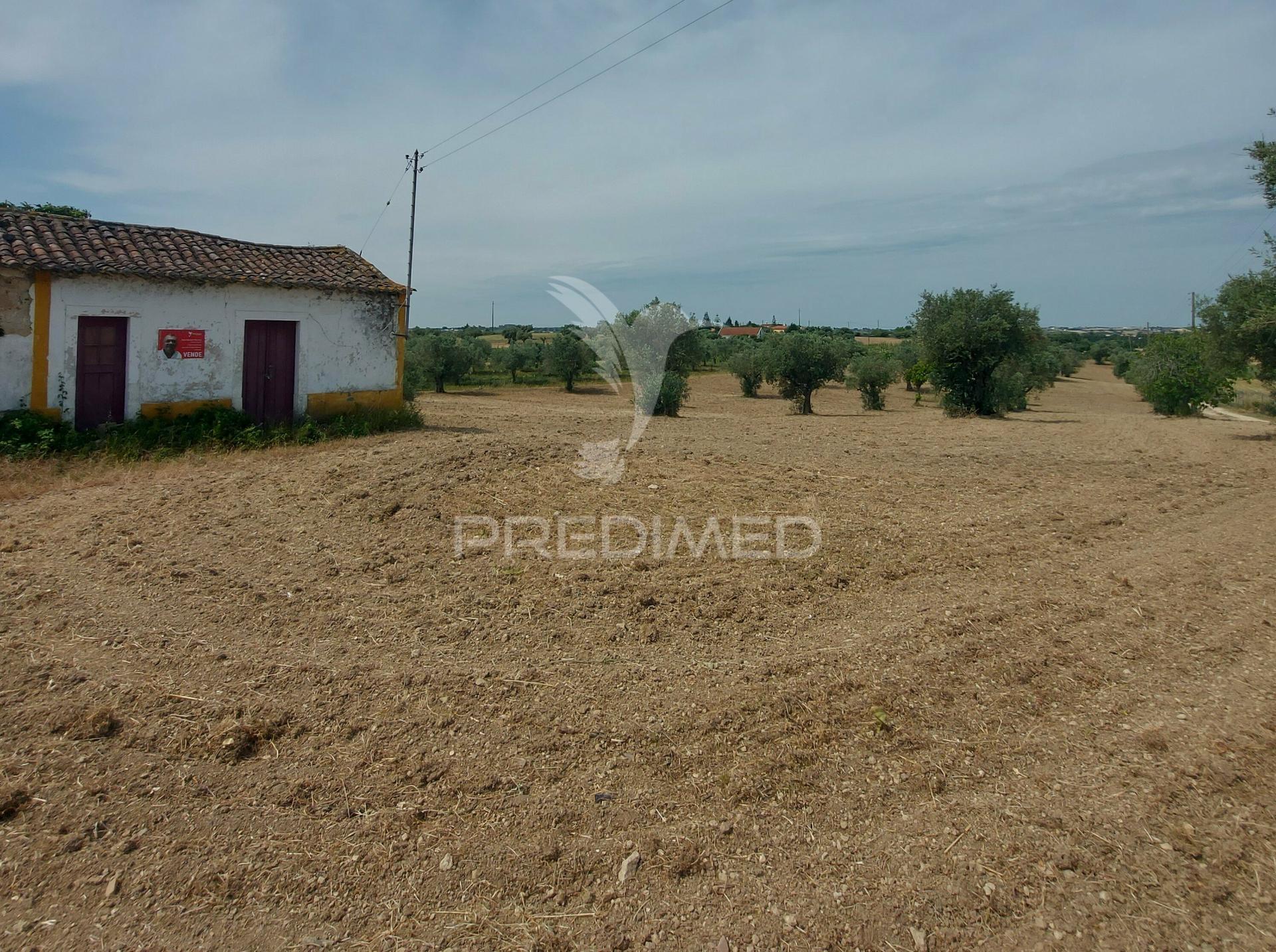 Moradia t2 para recuperar comterreno com 5.394m2 , santarém.