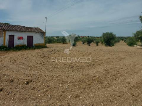 Moradia t2 para recuperar comterreno com 5.394m2 , santarém.