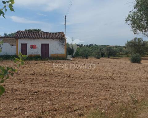Moradia t2 para recuperar comterreno com 5.394m2 , santarém.