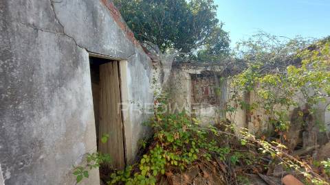 Moradia t2 para recuperar comterreno com 5.394m2 , santarém.