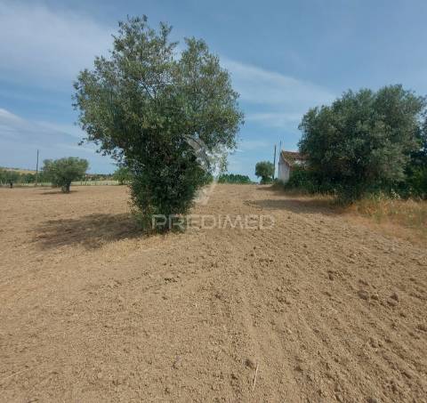 Moradia t2 para recuperar comterreno com 5.394m2 , santarém.