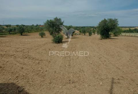Moradia t2 para recuperar comterreno com 5.394m2 , santarém.